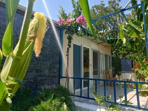 Dalaman Havalimanı Rose Apart Hotel Sarıgerme VIP Transfer Karşılama Hizmeti - Ege Vip Tur Mercedes Vito Araç Filosu ve Profesyonel Ekibi.